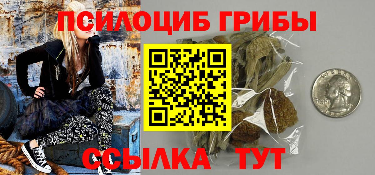 Псилоцибиновые грибы GOLDEN TEACHER Шарыпово