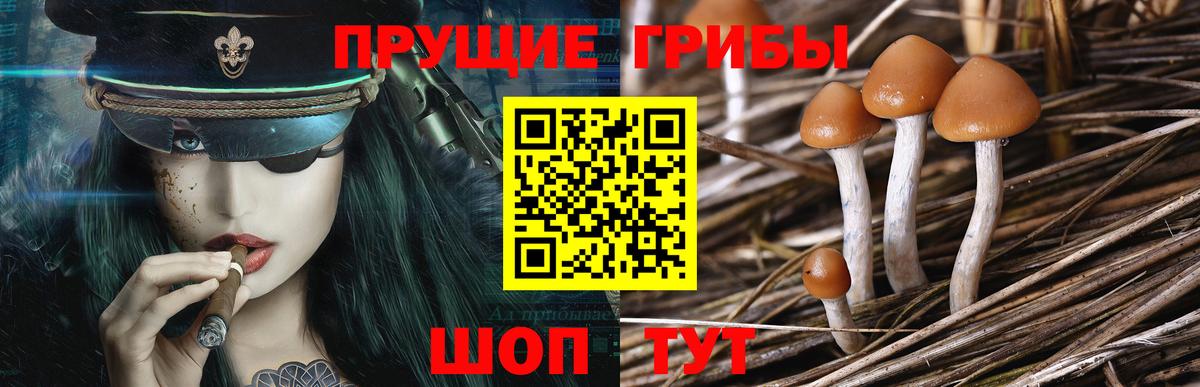 цена наркотик  Вход с VPN  Шарыпово  Галлюциногенные грибы Cubensis 